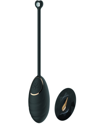 Œuf vibrant noir avec télécommande USB 
